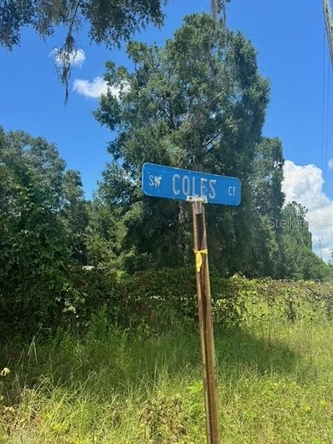 На продажу: $245,000 (18.22 acres)