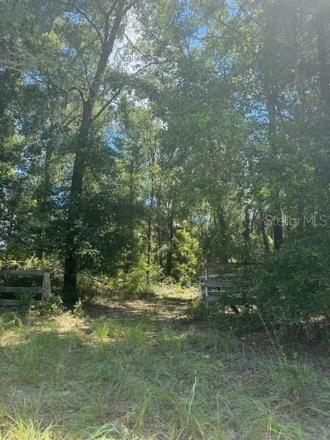 На продажу: $245,000 (18.22 acres)