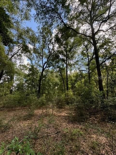 На продажу: $245,000 (18.22 acres)