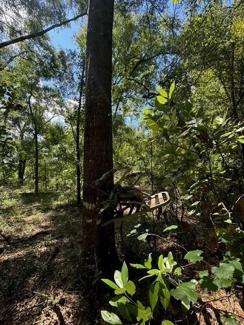 На продажу: $245,000 (18.22 acres)