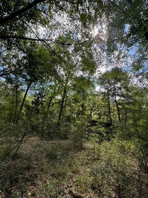 На продажу: $245,000 (18.22 acres)