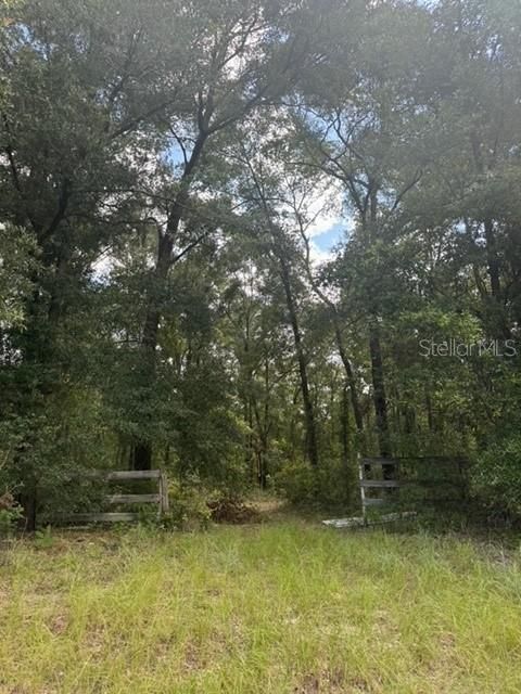 На продажу: $245,000 (18.22 acres)