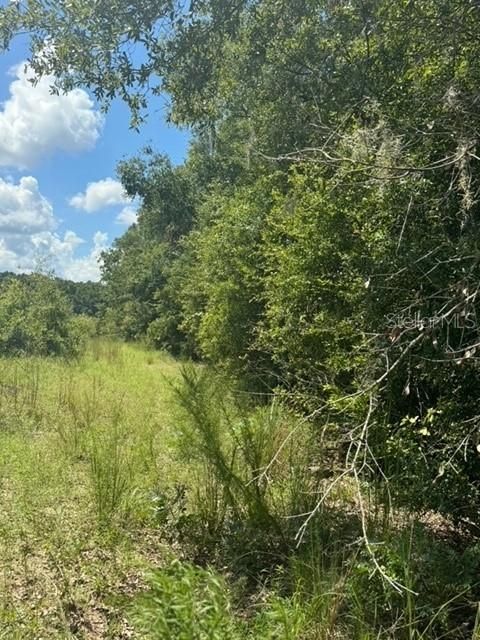 На продажу: $245,000 (18.22 acres)