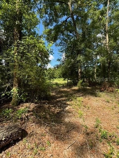 На продажу: $245,000 (18.22 acres)