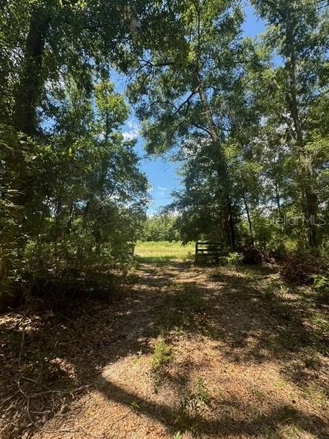 На продажу: $245,000 (18.22 acres)