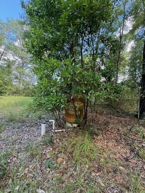 На продажу: $245,000 (18.22 acres)