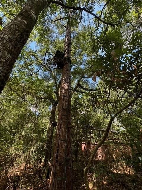 На продажу: $245,000 (18.22 acres)