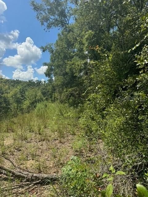 На продажу: $245,000 (18.22 acres)