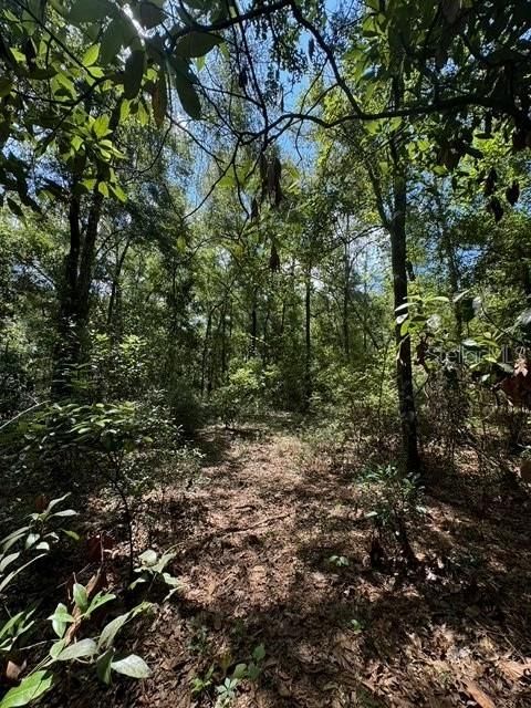 На продажу: $245,000 (18.22 acres)