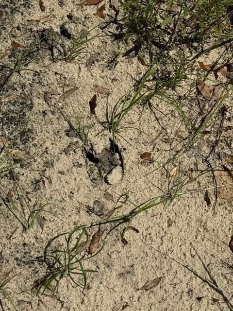 На продажу: $245,000 (18.22 acres)