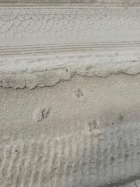 На продажу: $245,000 (18.22 acres)