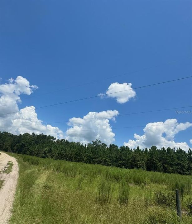 На продажу: $245,000 (18.22 acres)