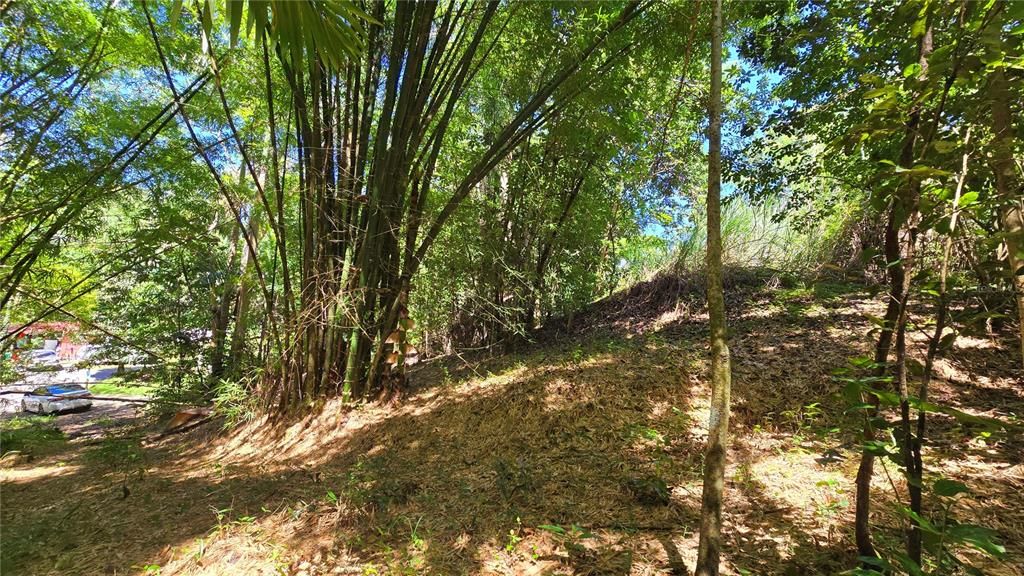 En Venta: $127,500 (3.57 acres)