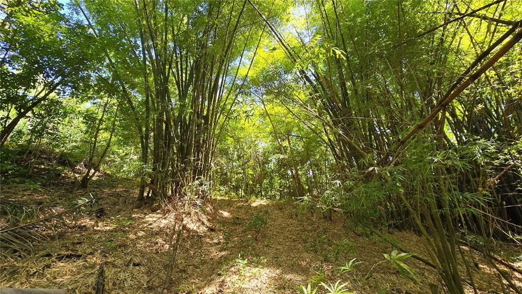 En Venta: $127,500 (3.57 acres)