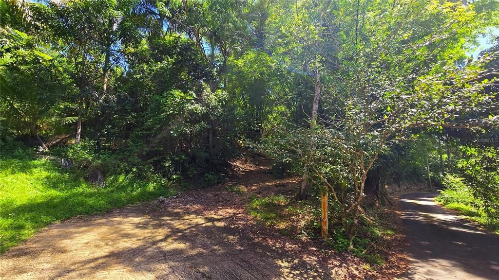 En Venta: $127,500 (3.57 acres)