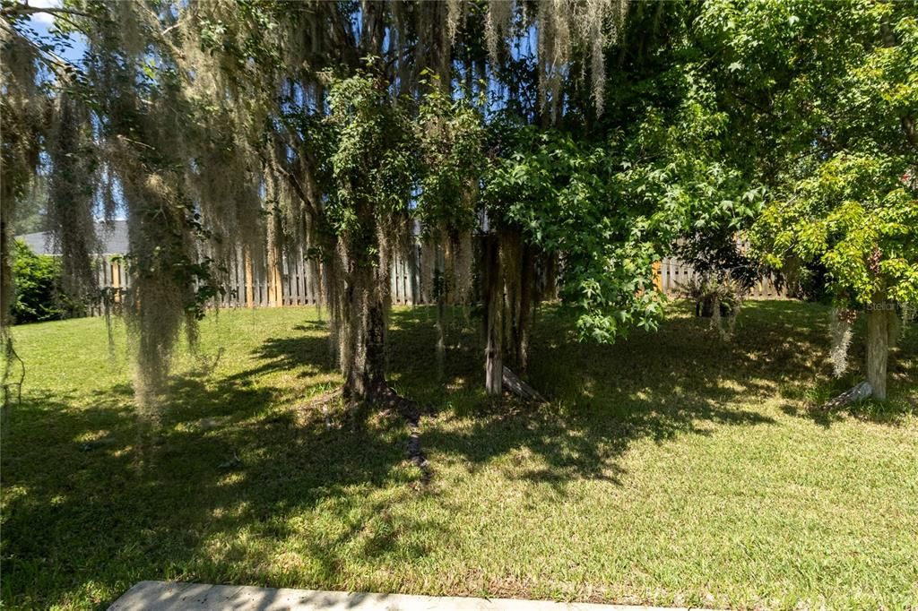 Activo con contrato: $299,900 (3 camas, 2 baños, 1573 Pies cuadrados)