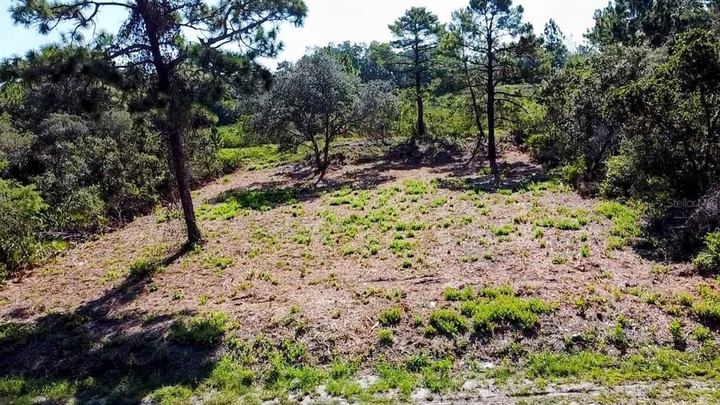 待售: $65,000 (0.28 acres)