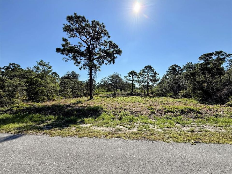 待售: $65,000 (0.28 acres)