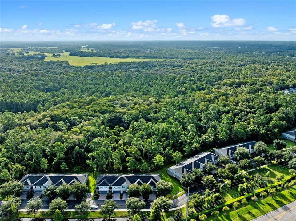 合同活跃: $449,000 (4 贝兹, 2 浴室, 2025 平方英尺)