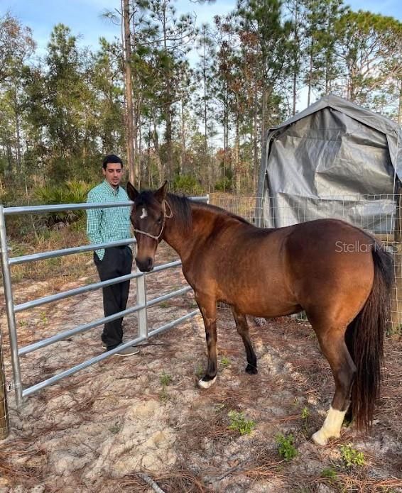 Под контрактом: $218,000 (3 спален, 2 ванн, 1800 Квадратных фут)