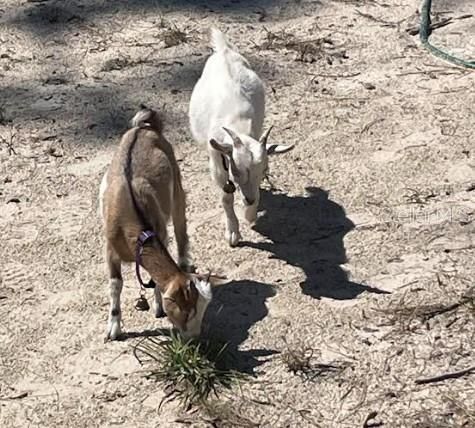 Под контрактом: $218,000 (3 спален, 2 ванн, 1800 Квадратных фут)