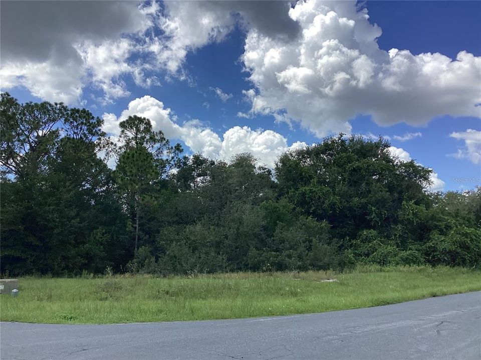 For Sale: $39,900 (0.84 acres)