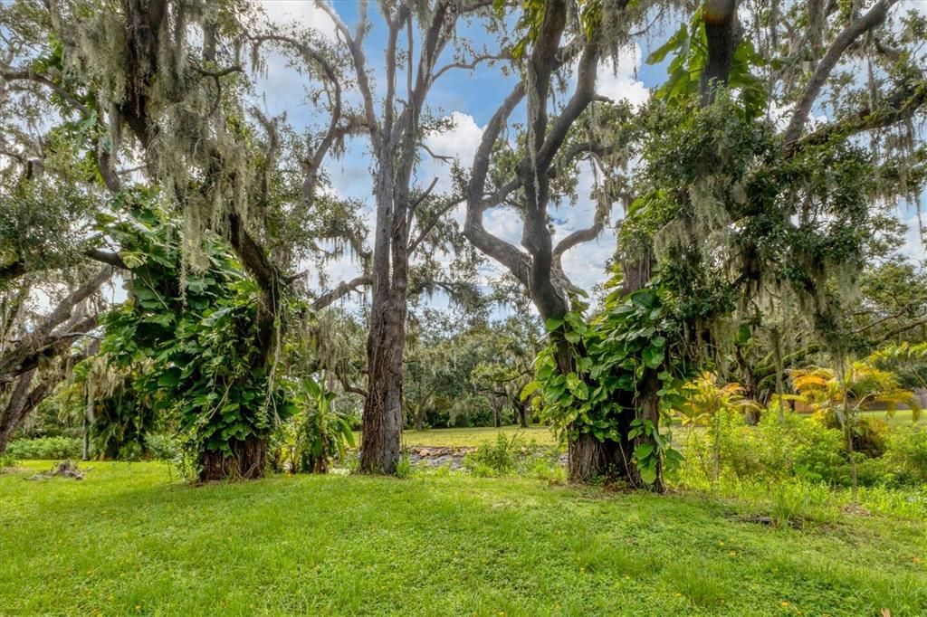 Active With Contract: $950,000 (1 beds, 1 baths, 696 Square Feet)