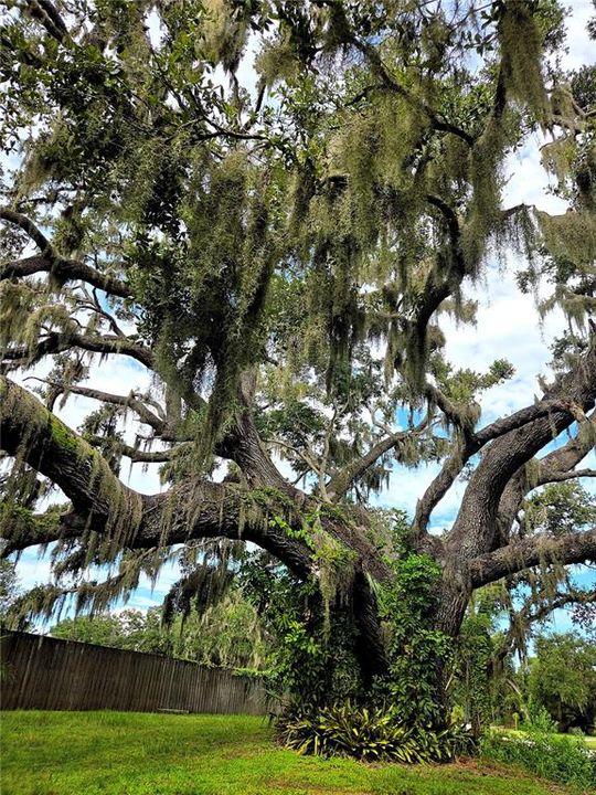 Active With Contract: $950,000 (1 beds, 1 baths, 696 Square Feet)