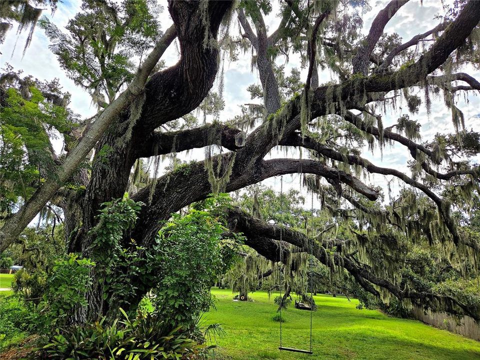 Active With Contract: $950,000 (1 beds, 1 baths, 696 Square Feet)