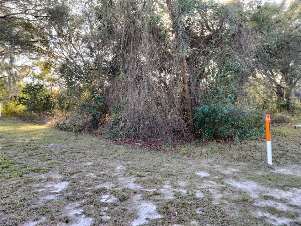 For Sale: $120,000 (0.28 acres)