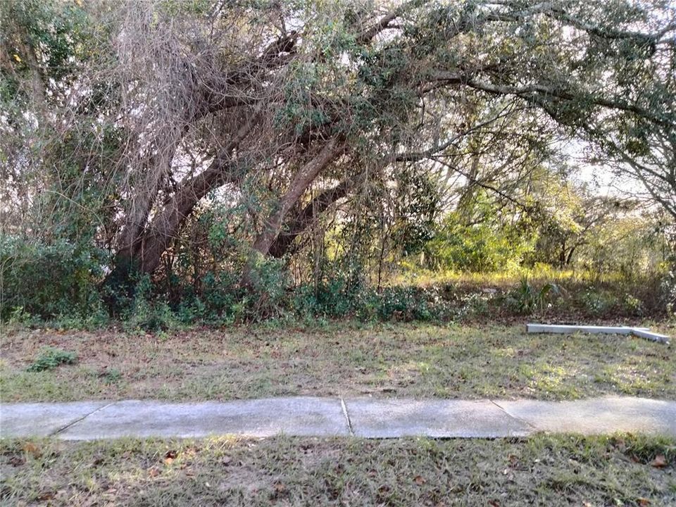 For Sale: $120,000 (0.28 acres)