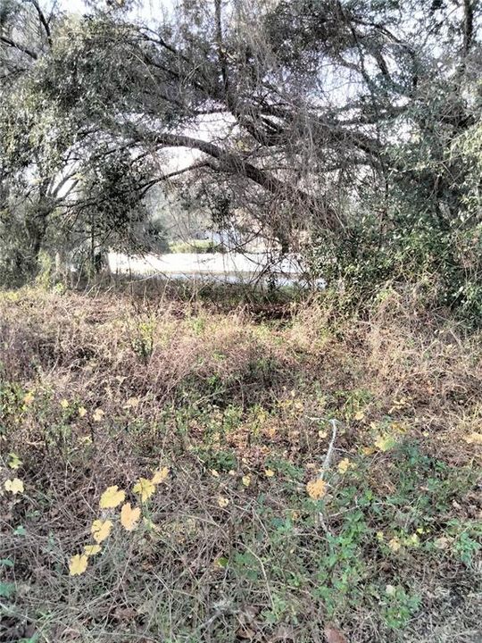 For Sale: $120,000 (0.28 acres)