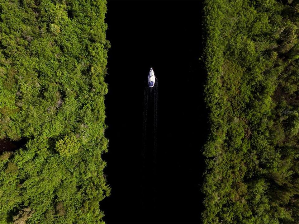 Active With Contract: $320,000 (3 beds, 2 baths, 1688 Square Feet)