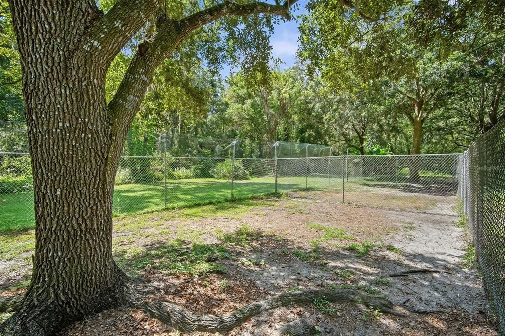 Activo con contrato: $725,000 (3 camas, 1 baños, 1540 Pies cuadrados)