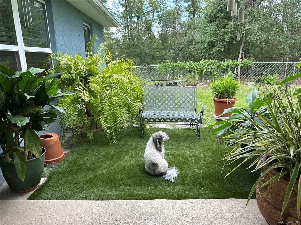 Activo con contrato: $295,000 (3 camas, 2 baños, 1803 Pies cuadrados)