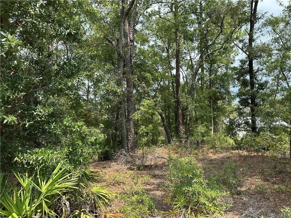 Activo con contrato: $295,000 (3 camas, 2 baños, 1803 Pies cuadrados)