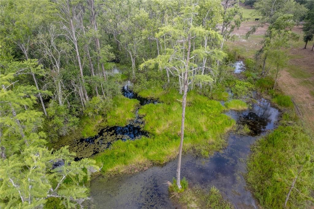 For Sale: $1,390,000 (5 beds, 3 baths, 3284 Square Feet)