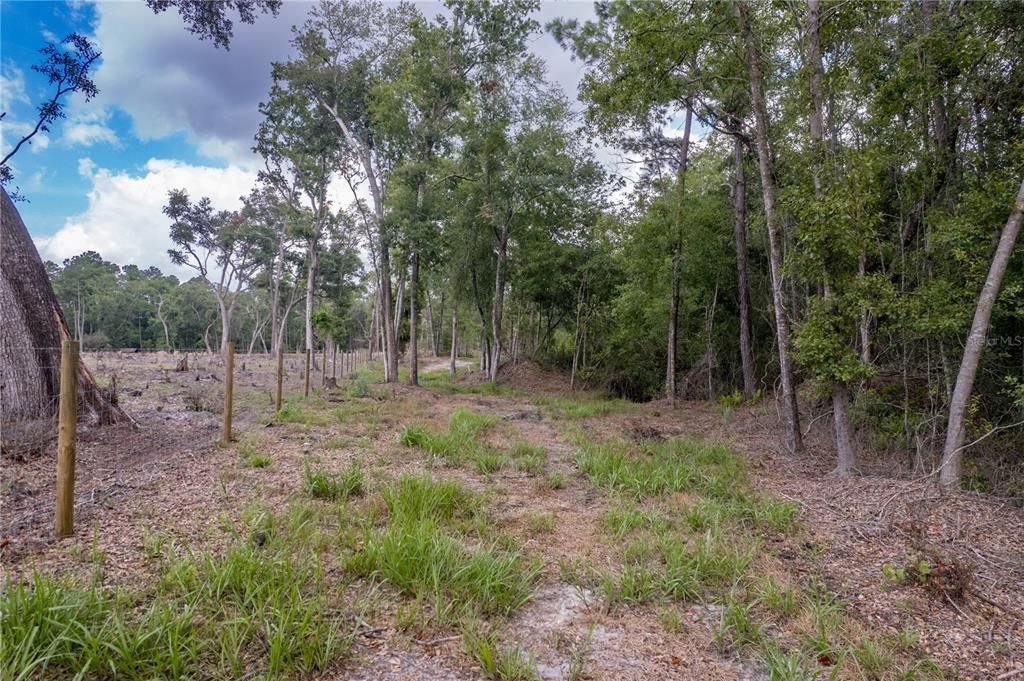 For Sale: $1,390,000 (5 beds, 3 baths, 3284 Square Feet)