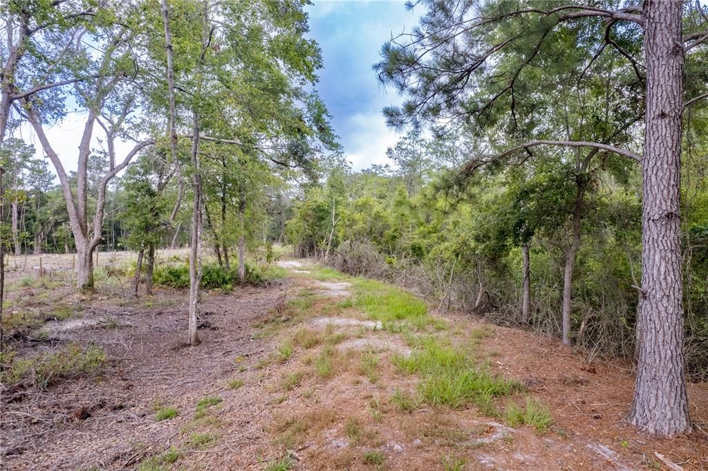 For Sale: $1,390,000 (5 beds, 3 baths, 3284 Square Feet)