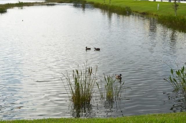 Под контрактом: $2,100 (3 спален, 2 ванн, 1790 Квадратных фут)