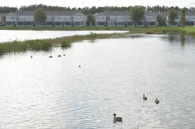 Под контрактом: $2,100 (3 спален, 2 ванн, 1790 Квадратных фут)