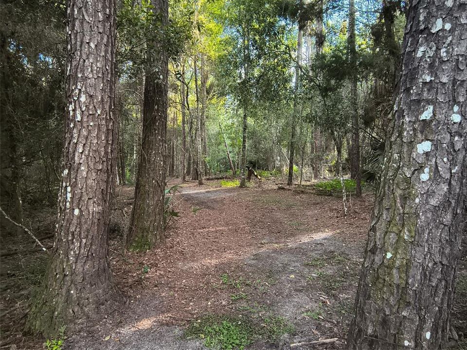 For Sale: $1,875,000 (4 beds, 3 baths, 3441 Square Feet)