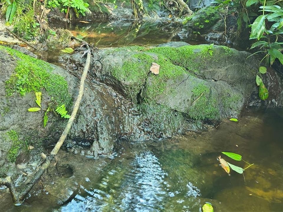 For Sale: $1,875,000 (4 beds, 3 baths, 3441 Square Feet)