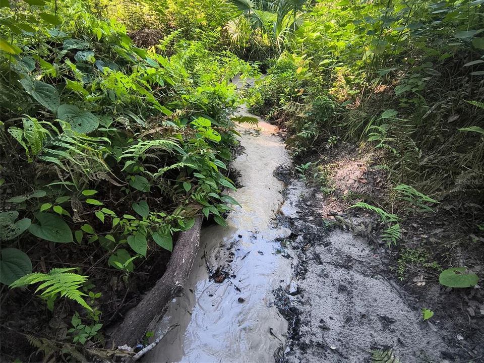 For Sale: $1,875,000 (4 beds, 3 baths, 3441 Square Feet)