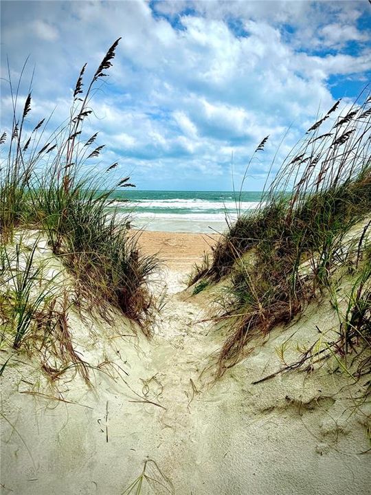 For Sale: $1,495,000 (3 beds, 3 baths, 1889 Square Feet)