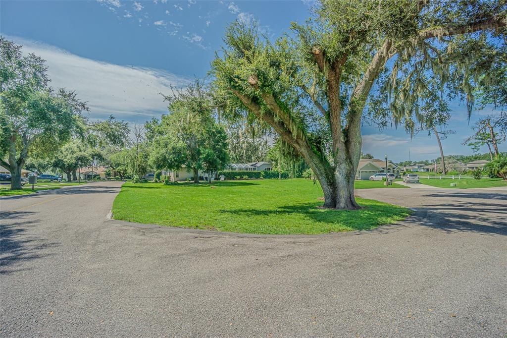 На продажу: $74,900 (0.23 acres)