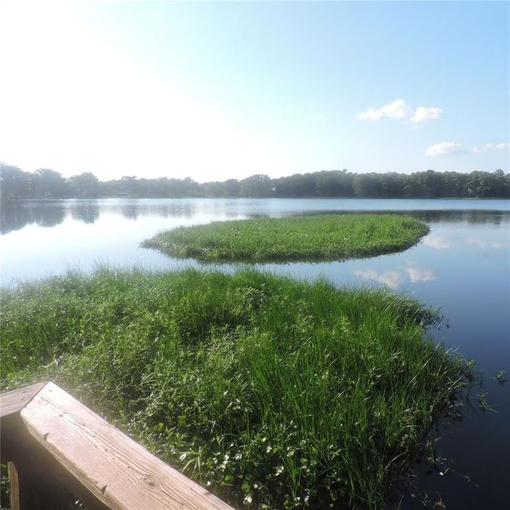 待售: $142,500 (2 贝兹, 2 浴室, 912 平方英尺)