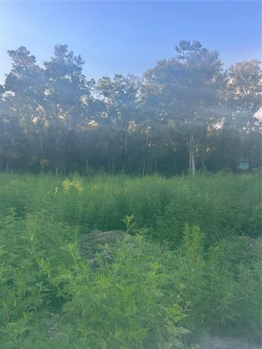 Под контрактом: $20,000 (0.28 acres)