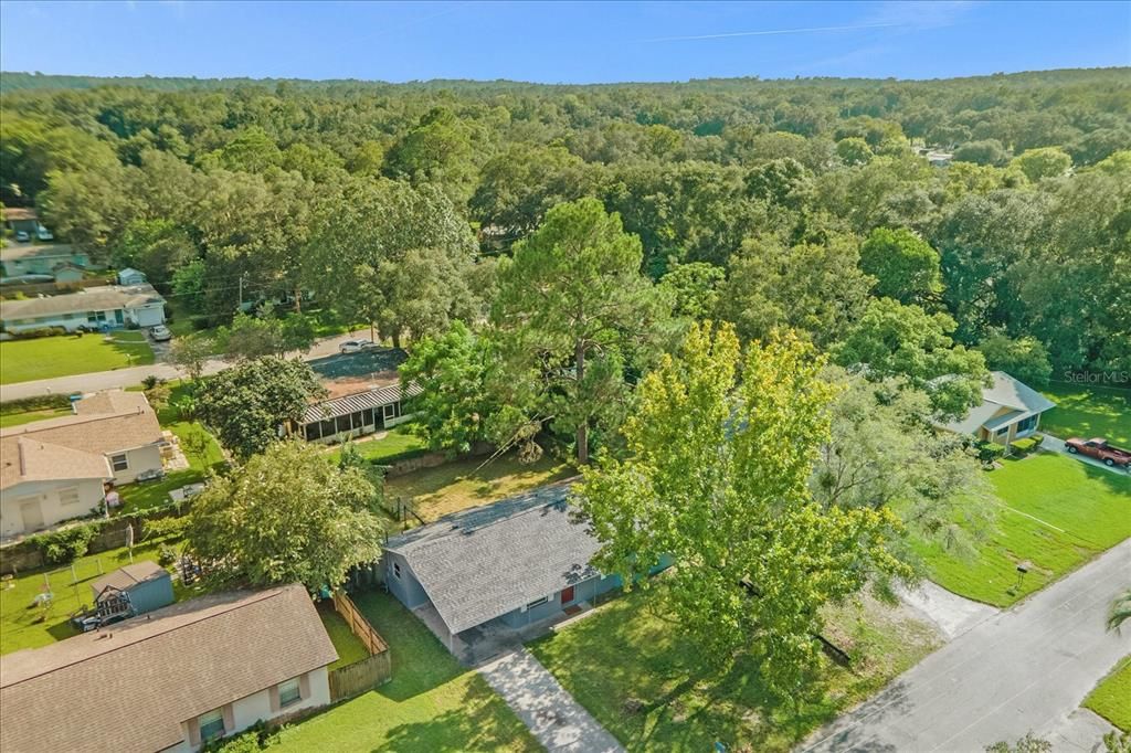 出租: $1,750 (3 贝兹, 2 浴室, 1026 平方英尺)