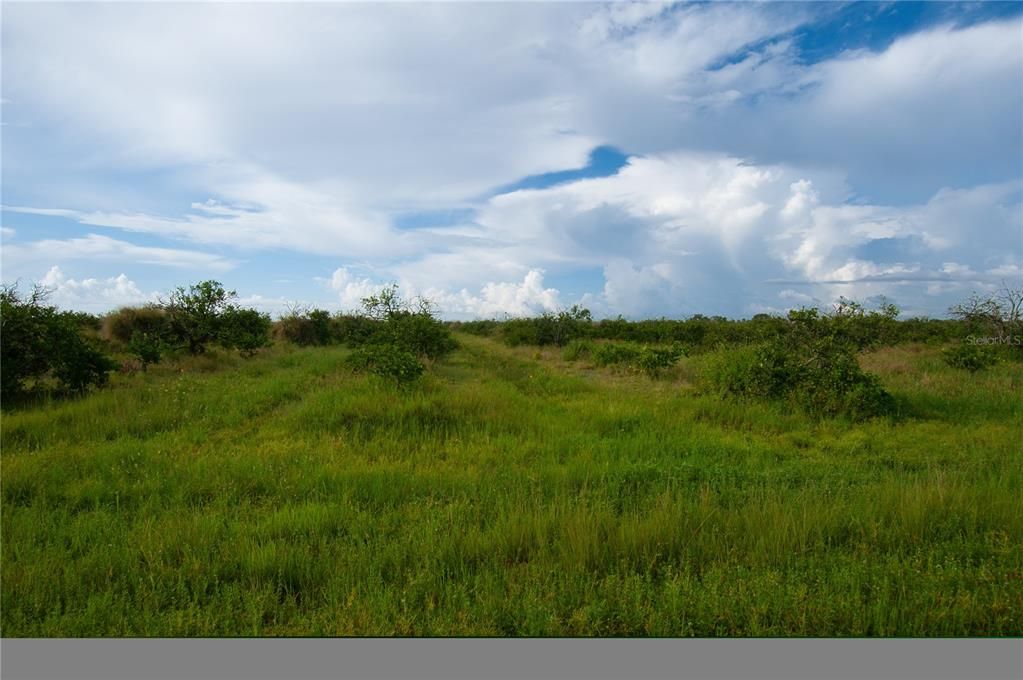 For Sale: $172,500 (10.00 acres)